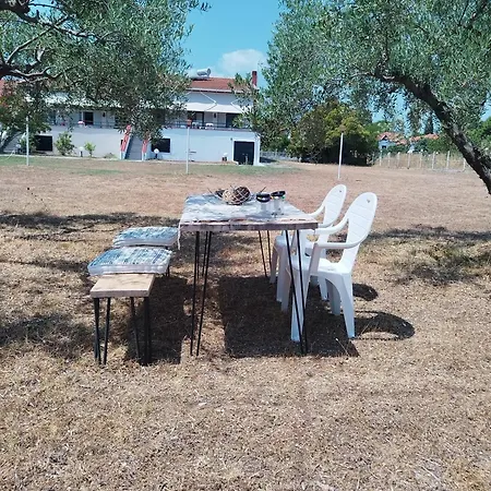 Mare E Monti